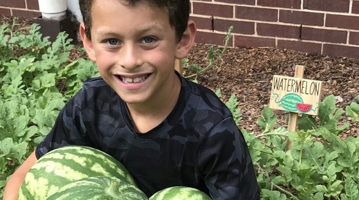 Boy with watermelons