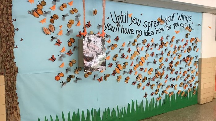 Picture of butterfly bulletin board