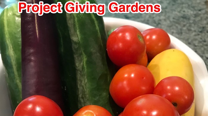 Project Giving Gardens photo of vegtables